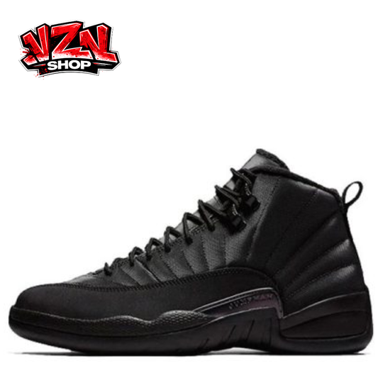 Air Jordan 12- Blackout